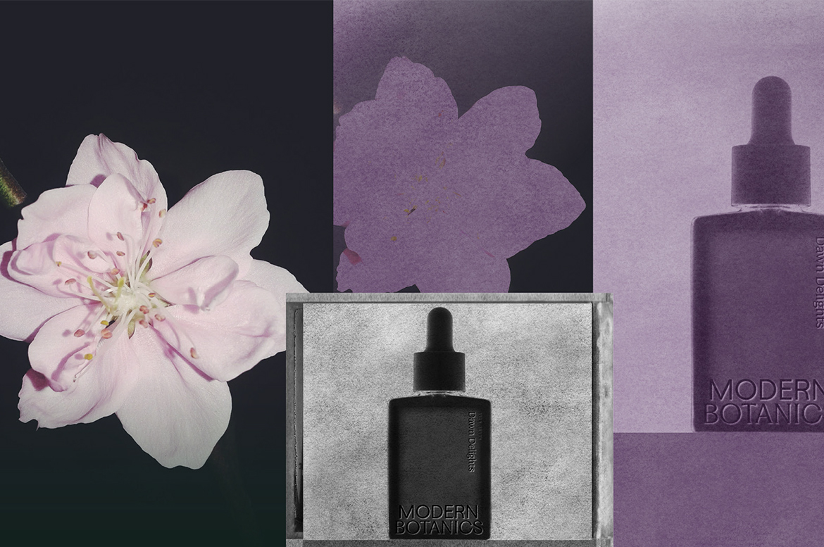 Modern Botanics